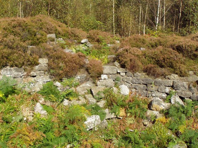 Torwood Broch