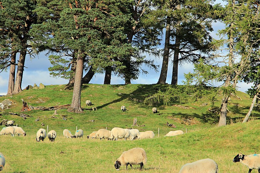 The Craigh na Dun filming location from the Outlander TV series.