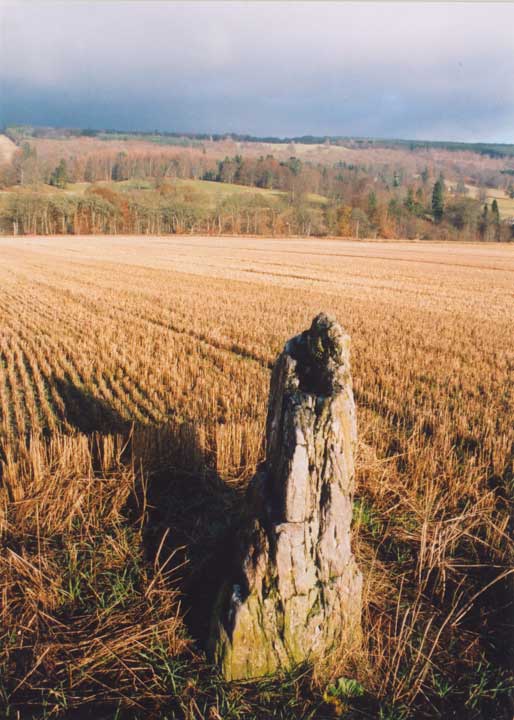 Perthshire stones photo by Andy Sweet