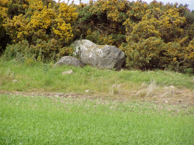Site in Perth and Kinross Scotland:
Fallen stone from SW