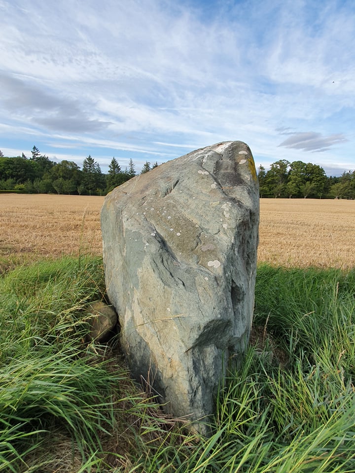 Inchmartine standing stone (photo by John Lamont)