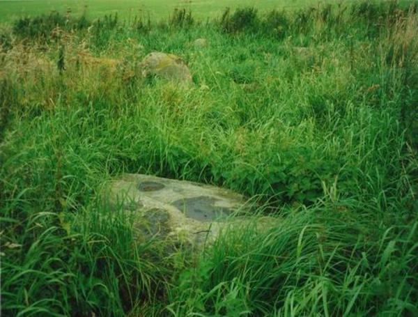 The cupmarked stone with the very overgrown circle behind.