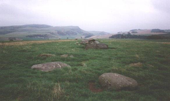 Looking to the east over the row.  Take the turning into Glencarse from the A90 between Perth and Dundee.  Head NNW just after the hotel, and follow signs for Gouktoun.  Take a right, then right again for Balthayock, and follow this road for about two miles.  The stones lie within the farm lands of Commonbank Farm, lying to the west of the road.  They are accessible via the farm road and through t