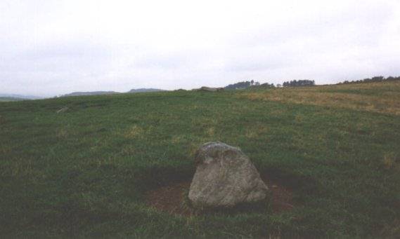 The row looking to the west.