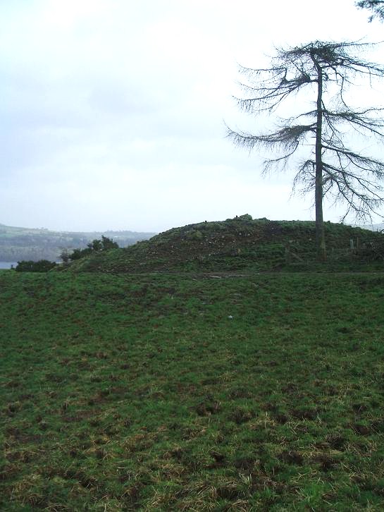 Round Hill (Cameron home farm cairn)