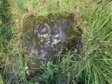 St Mirren's Well - PID:265131