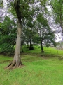 Watling Lodge, Antonine Wall