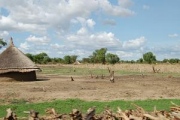 Image for African Farming - PID:87368