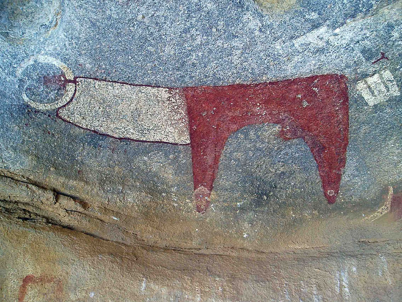 Detail of the Laas Geel cave paintings near Hargeysa, Somaliland/Somalia, showing a cow.
The guide told me to note that, unlike African cows, this cow has got a straight back. Note the style of the neck and horns.

Creative Commons image by Najeeb
