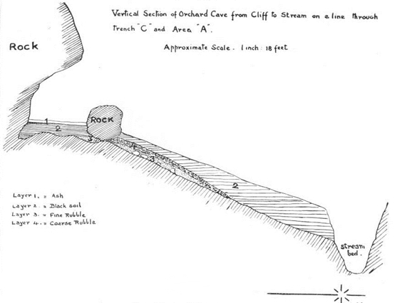 Cross-section of the cave, via archive.org