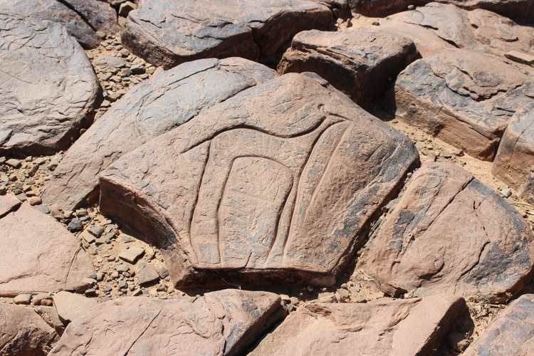 Petroglyphs at Ait Ouazik
around 5000-8000 years old.

Site in  Morocco
