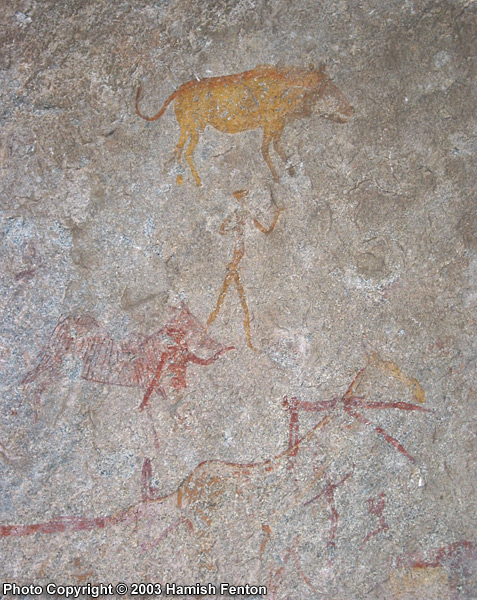 Bambata cave, wall painting detail, showing waht looks like someone leading a zebra and a zebra or horse in some sort of stocks.
