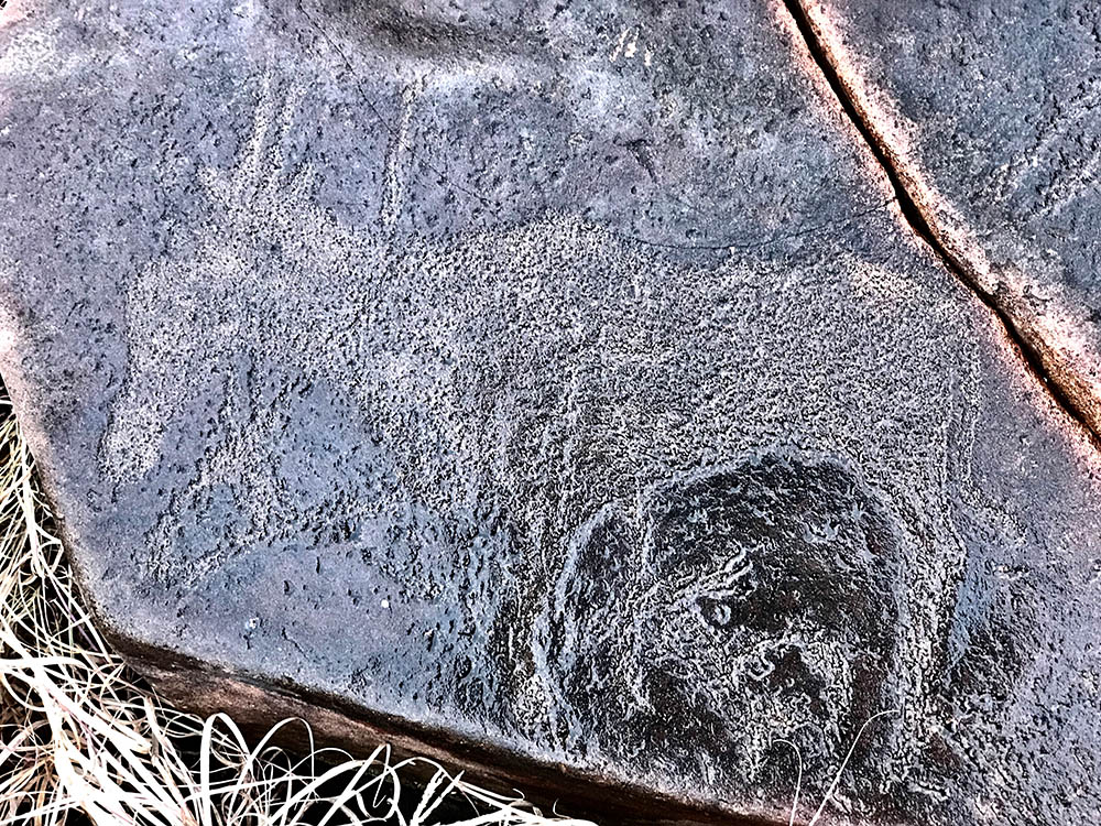 Wildebeestkuil rock art, Site in  South Africa