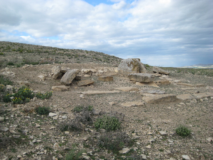 One of up to 60 Numidian Megalithic Tombs dating to at least the 2nd century BCE in Eles stretched over about 1 square Kilometer. Most are numbered.