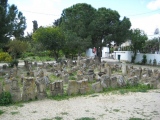 Carthage Tophet