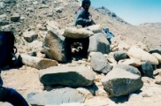 Mount Umm Shomar Predator Trap - PID:60873