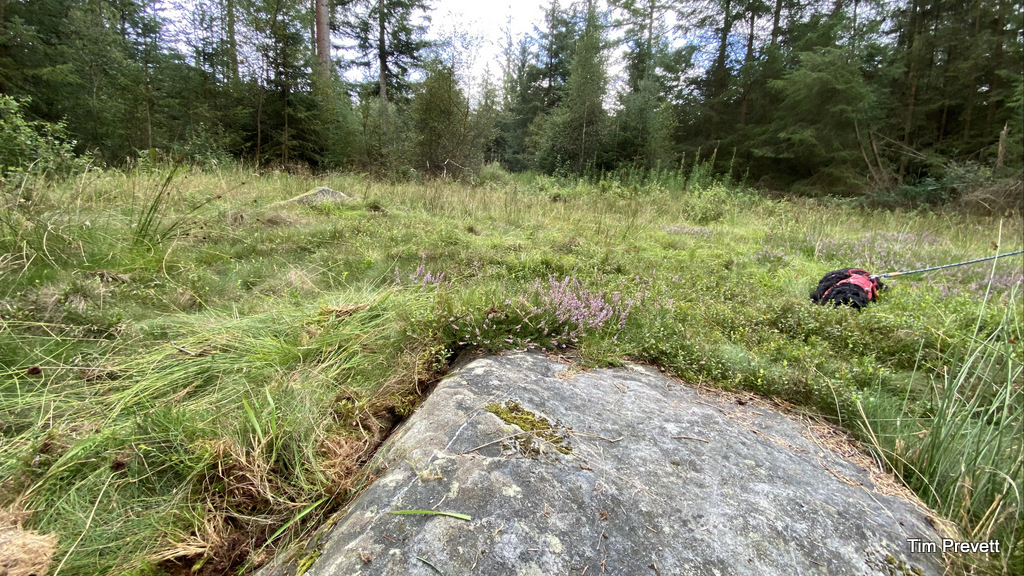 The Bryn Beddau Circle - a short distance north off the main track, and in all, around 800 metres from the car parking at Glan y Gors. 

I've included this in a video Five Bronze Age Sites in the Clocaenog Forest and how to find them