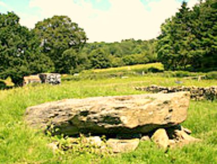Tan-y-Coed Burial Chamber Nr Cynwyd, at SJ.047396. Closer-up view.