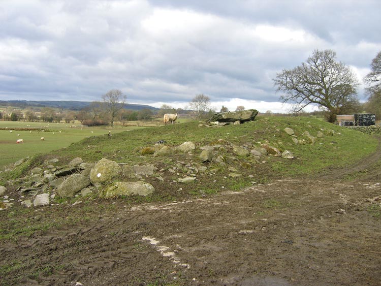 As Shropshire Traveller says this is a large barrow, the size is easier to appreciate in Winter.