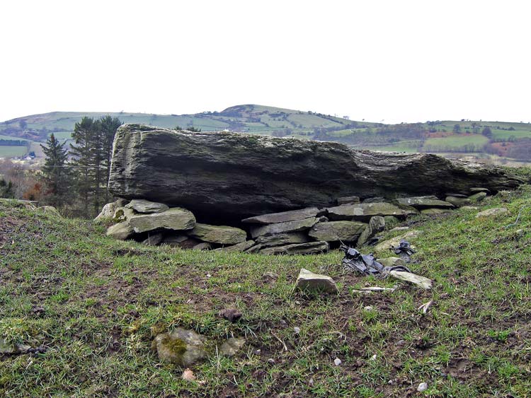 The large capstone of Tyn y Coed, The site seems somewhat unloved by the farmer, the surrounding area being turned to a mire by tractors and littered with assorted bits of debris.