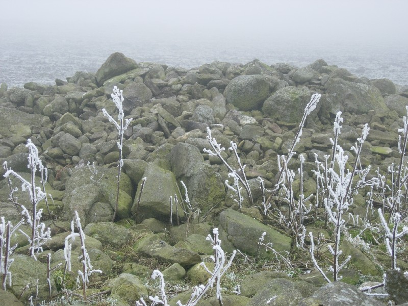 Brygolen Cairn 3 in the frosted, foggy landscape. Supposedly some of the best views in Wales up here... anyway, it certainly was unforgettable. The cairn is extremely disturbed, though extensive.