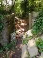 St Dyfnog's Well