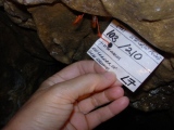 Bontnewydd Cave - PID:29624