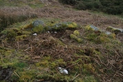 Cefn Penagored Cairn and Ring Cairn - PID:179703