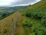 Dinas Bran - PID:159236