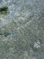 Plas Newydd Gorsedd Stone circle - PID:77311