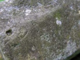 Plas Newydd Gorsedd Stone circle - PID:77312
