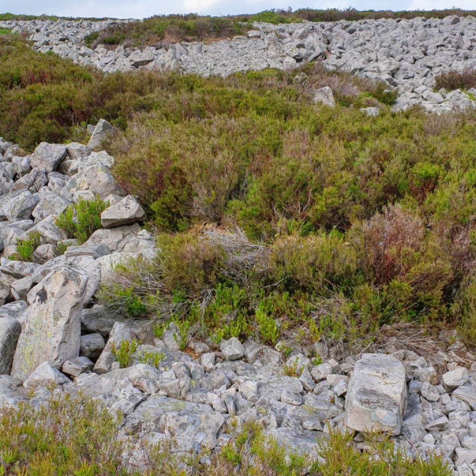 Looking north - small standing stones flank either side