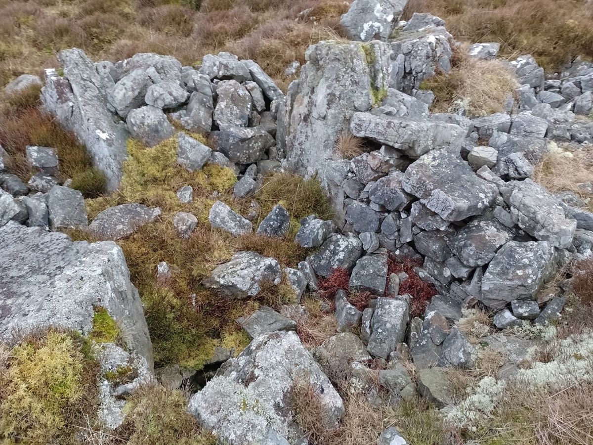 Looking down into the rectangular site.