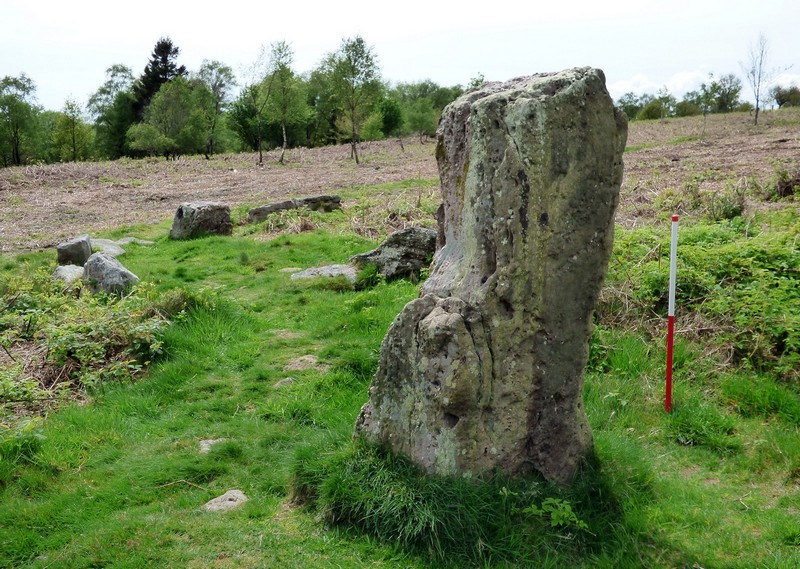 Stone 6. View from east with kerbed cairn in the background (Scale 1m).