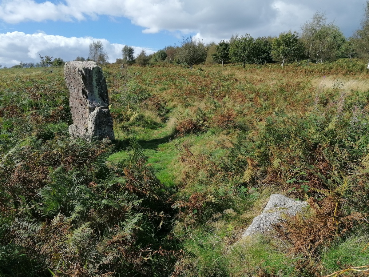 Much of the bracken and gorse on the slopes of the hillside has been cleared, so it was easy to find the big stones of the row. This is the lower of the large stones, beside the circle.

Sept 2020 