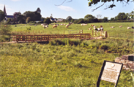 The Virtuous Well in bottom right-hand corner, showing the position of Trellech church.  The gate to the field is behind me here.

The sign reads: