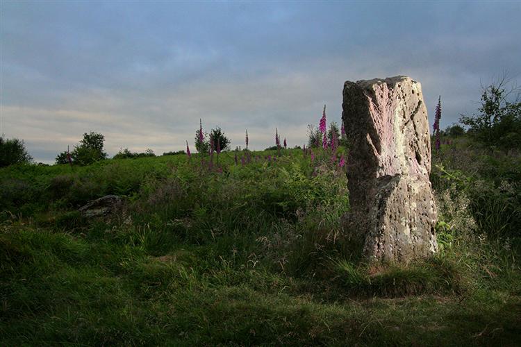 Site in Monmouthshire (Sir Fynwy) Wales: One of the only standing stones we could find on the hilltop due to the bracken.
