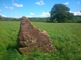 Llangybi Bottom Stone - PID:120568