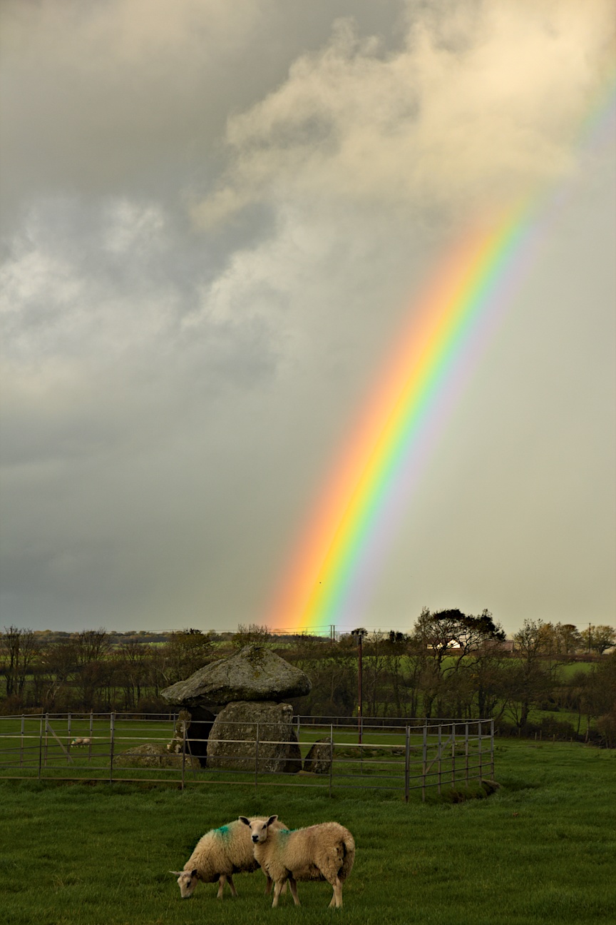 Bodowyr with rainbow and sheep.