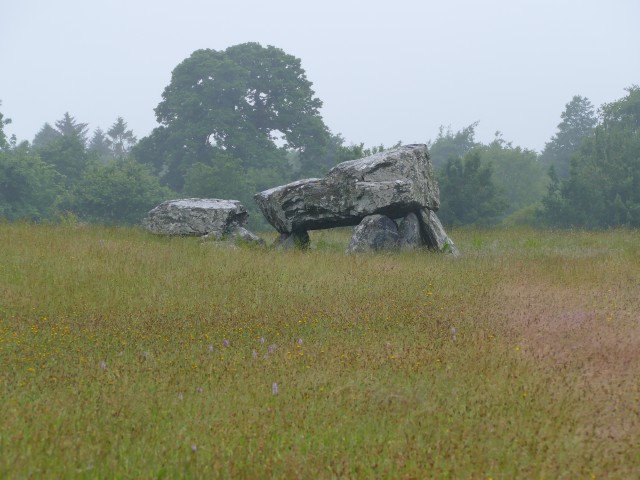 20180620--Plas Newydd Cromlech, Anglesey (Private Land)