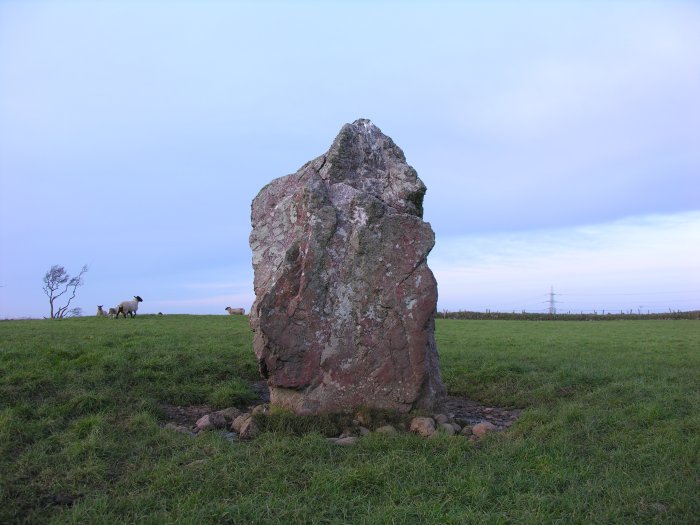 A north view onto the lovely menhir of Llech Golman. Reminiscent of the stone at Malltraeth.
