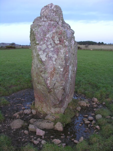 Like any standing stone in a field with livestock, it gets used as a scratching post and shelter. This is no exception.