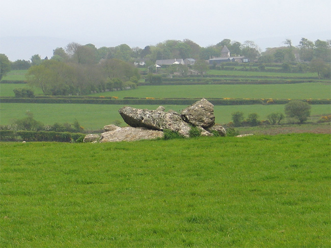 Remains of Western Chamber, Hendrefor Chambered Tombs. 
