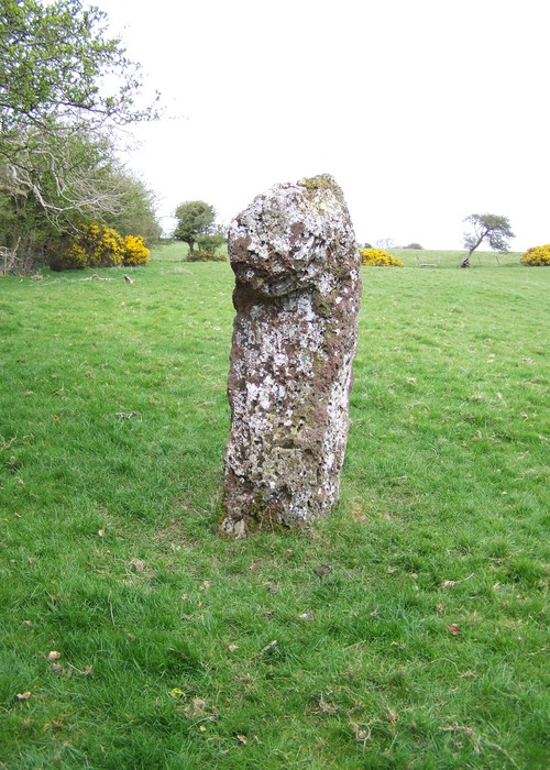 Site in Anglesey (Sir Ynys Mon)
