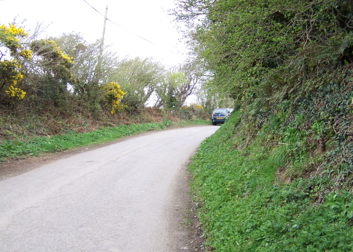 Site in Anglesey (Sir Ynys Mon): As you can see the bank is very steep and the road narrow. Take care at this Site as large Tractors speed up and down this road,a fall would be very nasty. All My photos tacken on the 06/04/09.