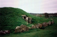 Bryn Celli Ddu - PID:156