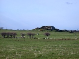 Bryn Celli Ddu - PID:27466