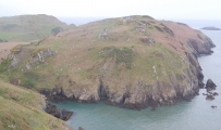 Dinas Gynfor - PID:29889