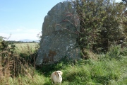 Bryn Gwyn Stones - PID:217515