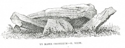 Ty Mawr Tomb - PID:99616